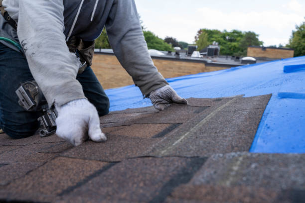 Best Residential Roofing Contractor  in Dade City, FL