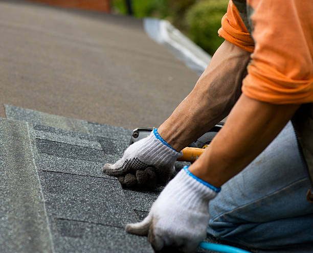 Best Storm Damage Roof Repair  in Dade City, FL
